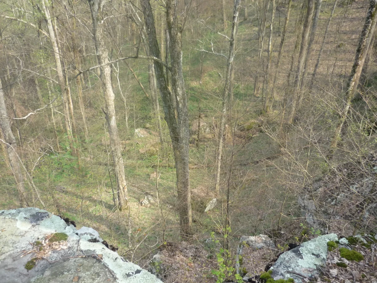 p1010164.jpg