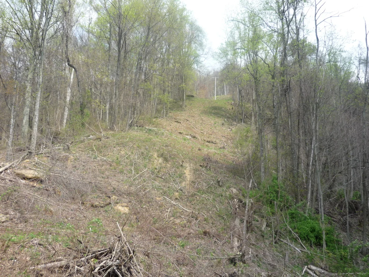 p1010144.jpg