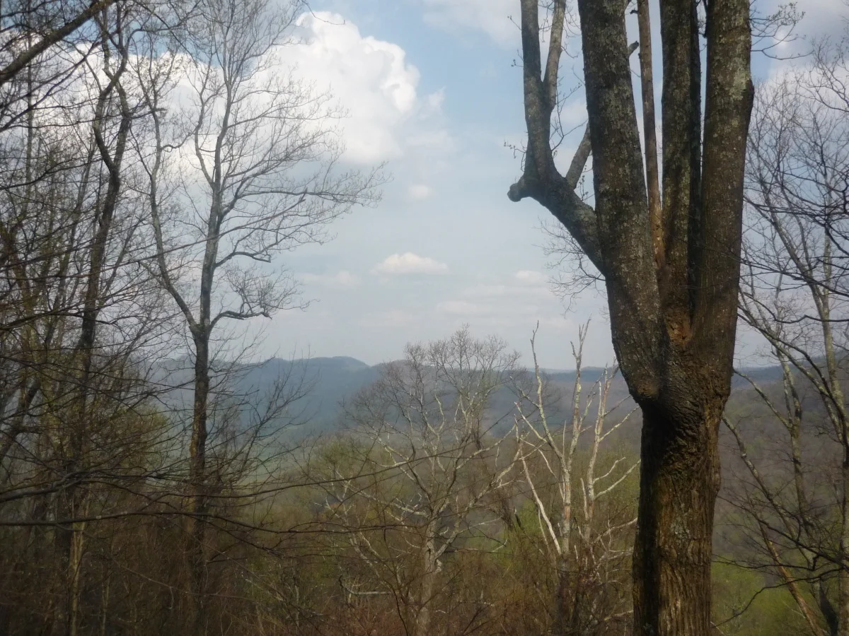 p1010166.jpg