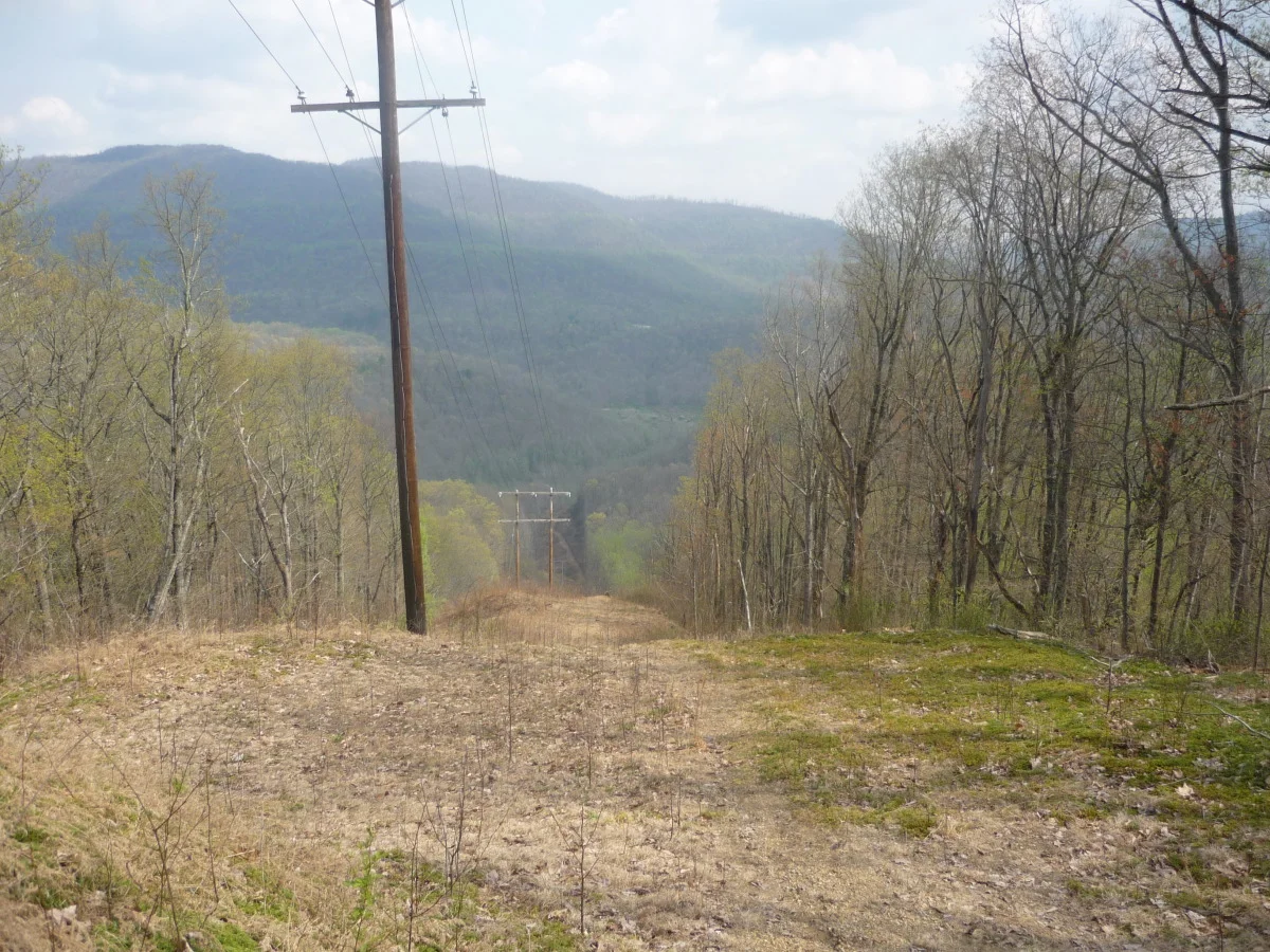 p1010143.jpg