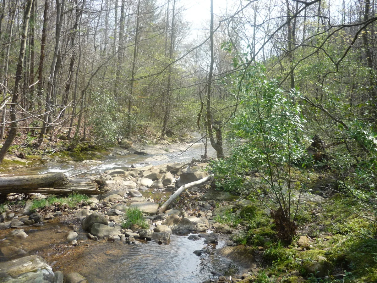 p1010136.jpg