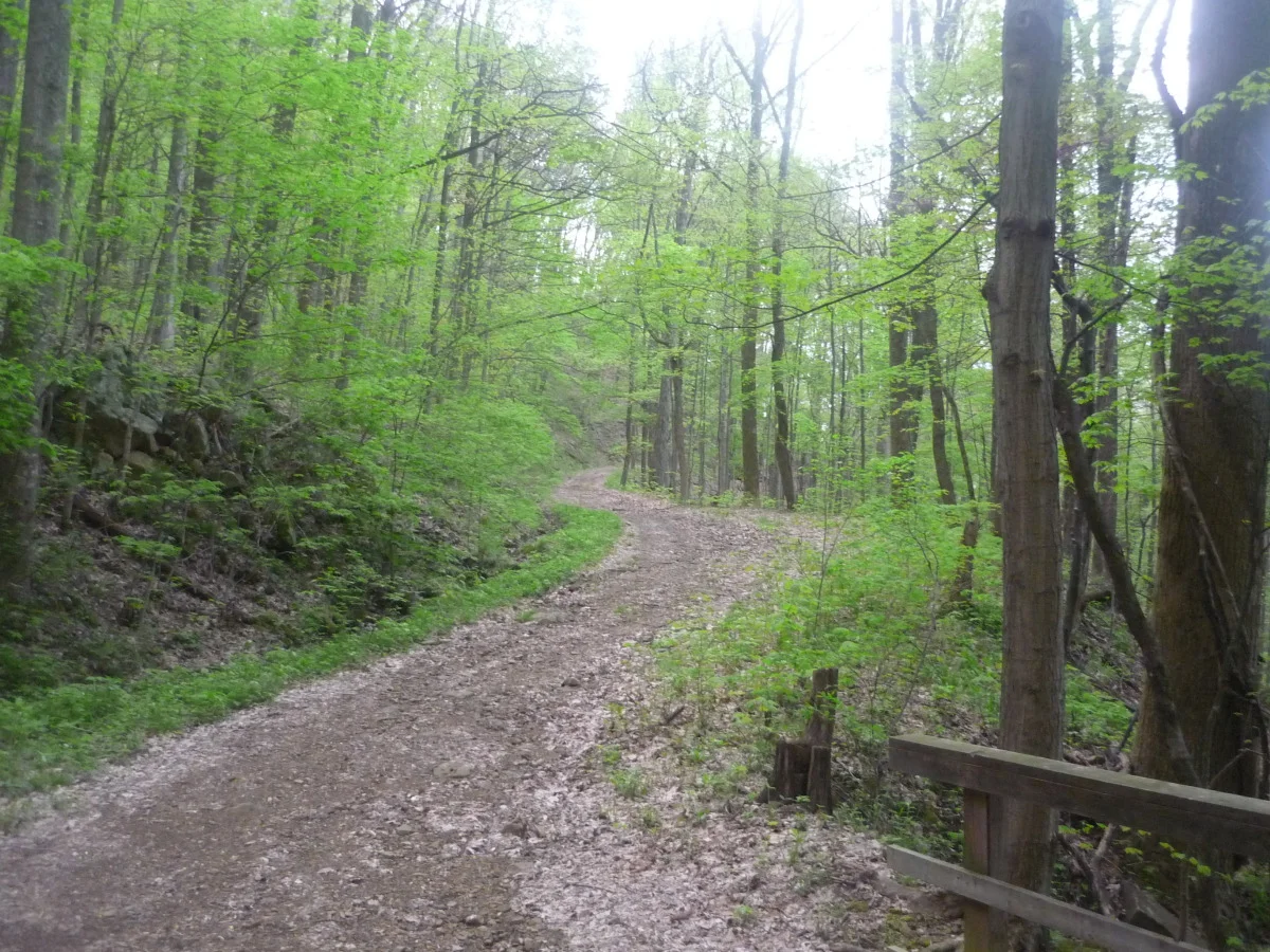 p1010196.jpg