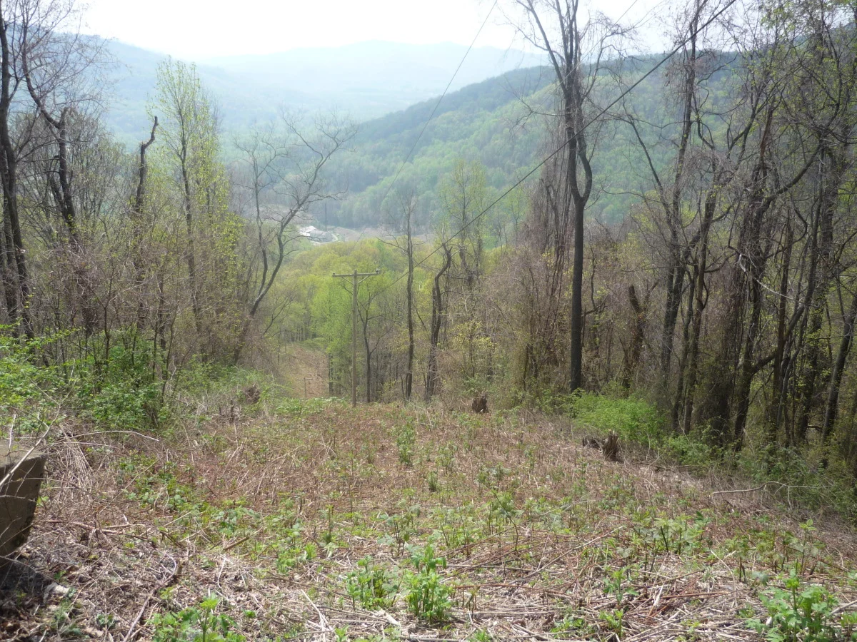 p1010146.jpg
