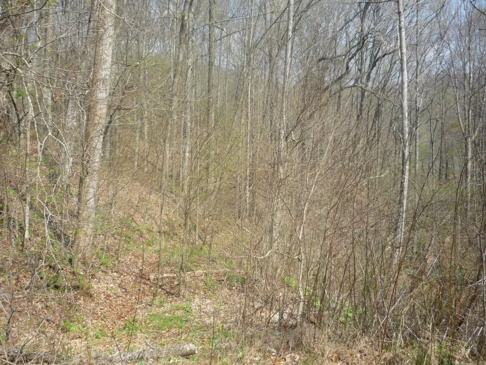 usual terrain.jpg