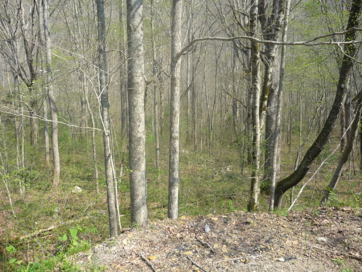 p1010131.jpg