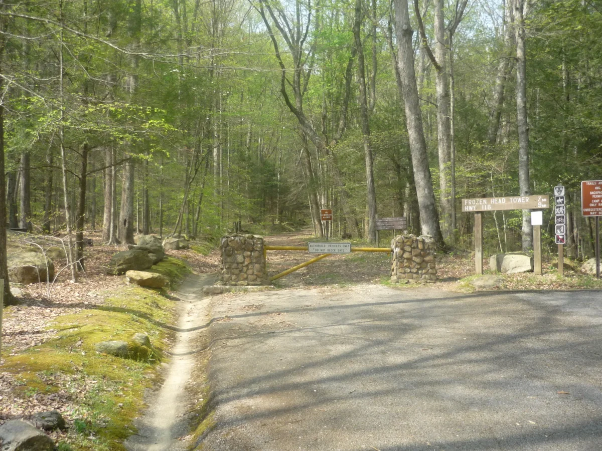 p1010153.jpg