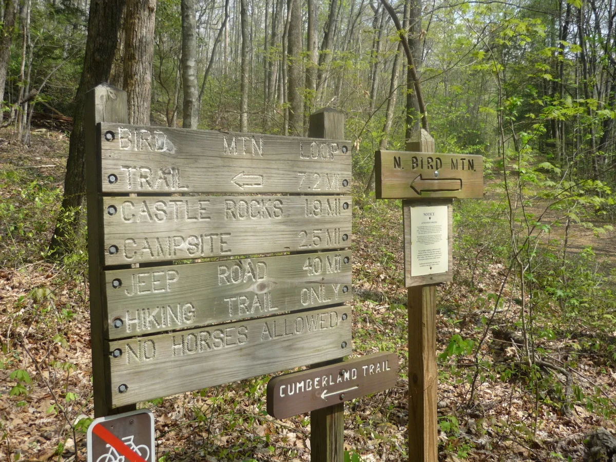 p1010156.jpg