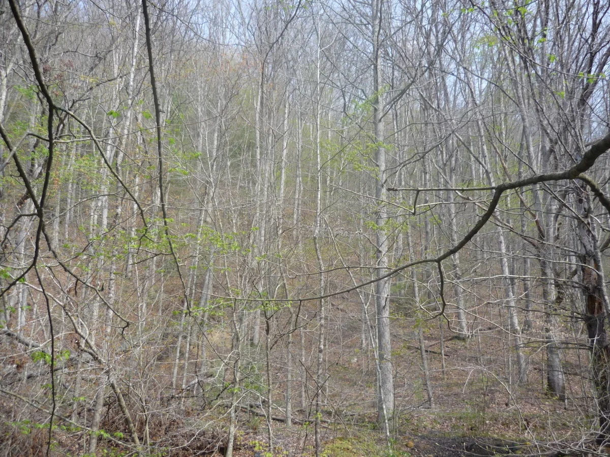 p1010134.jpg