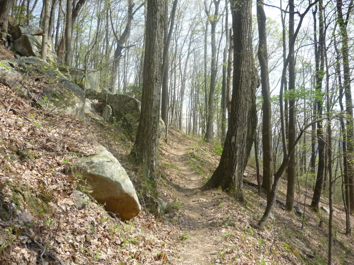 p1010158.jpg
