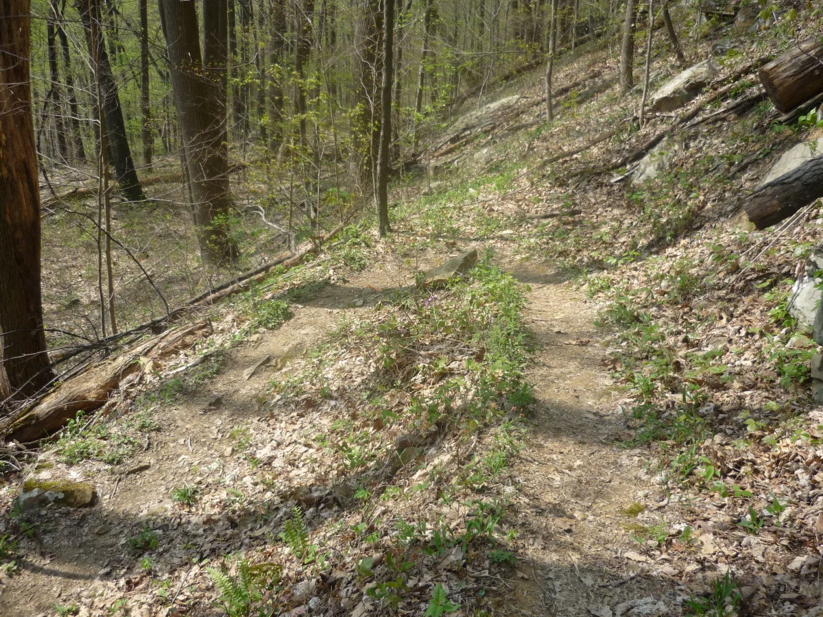 p1010159.jpg