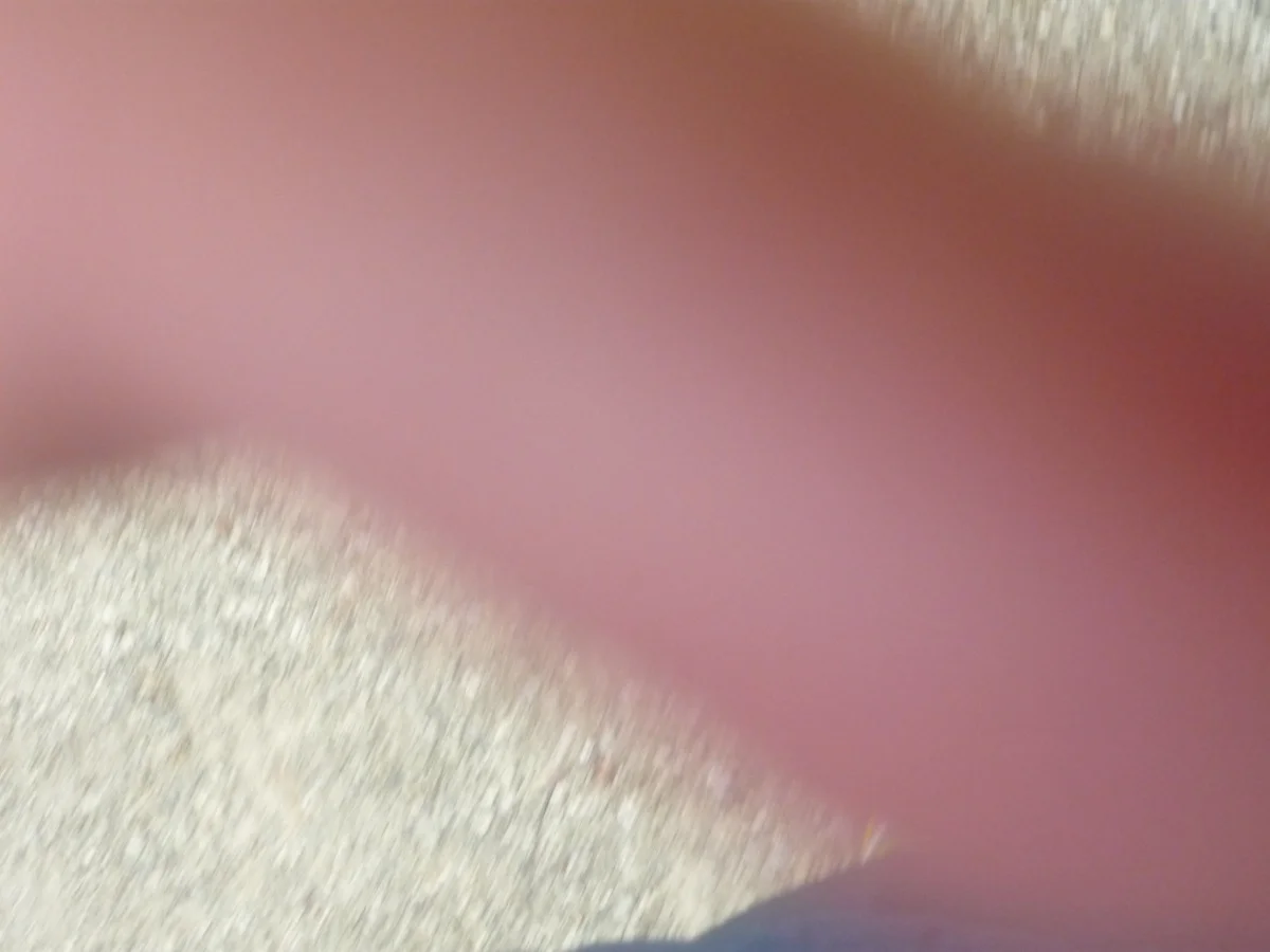 p1010178.jpg
