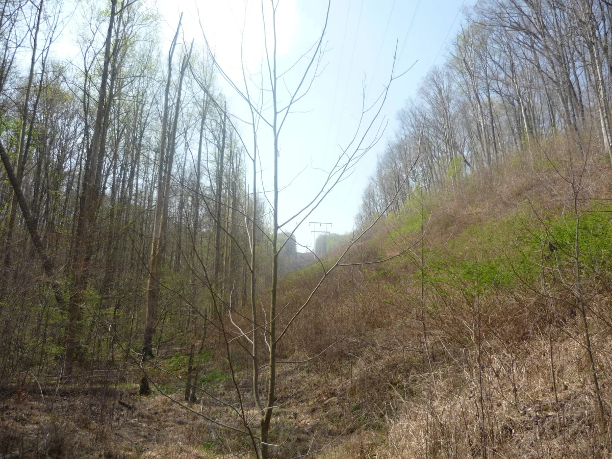 p1010140.jpg