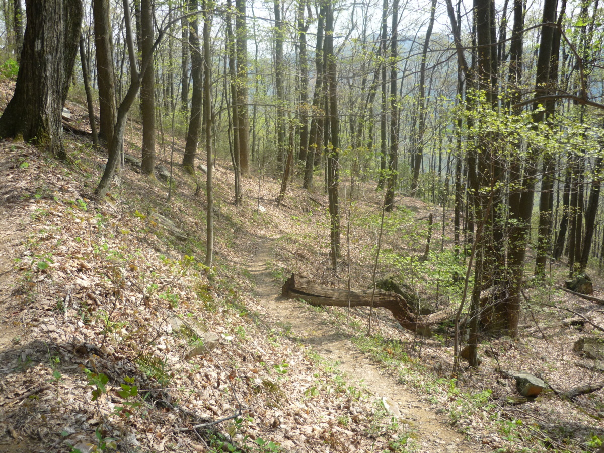 p1010157.jpg