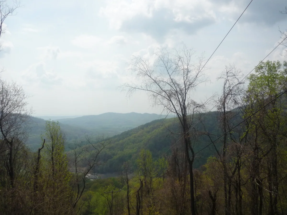 p1010148.jpg