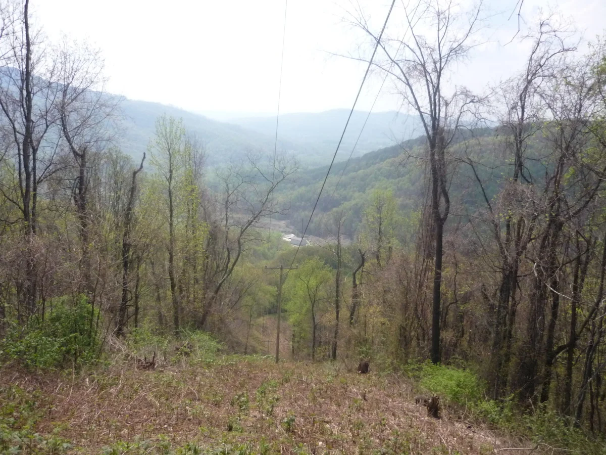 p1010147.jpg