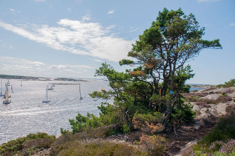 De fleste av gjestene ankommer Homlungen til fots fra Skjærhalden hvor man har hentet nøkkel til fyret, og til robåt som man frakter seg selv ut på noen få meter til fyrholmen. Turen fra Skjærhalden tar omtrent 15 minutter. Fotturen vandres i typisk Hvaler-natur med lave og krokete trær, og fra marken dufter det deilig lyng. Utsikten til Sverige, Skagerrak og Hvalers flotte skjærgård får man gratis med på hele fotturen. 