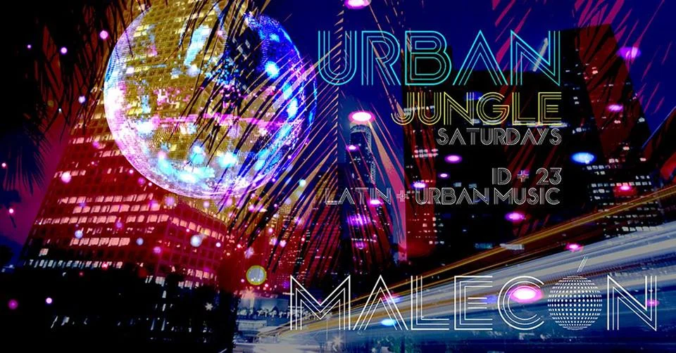 Urban Jungle / Dj Wiz & DJ Saronia