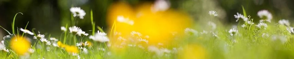 Sommerkonsert 26.august i Mortensrud kirke
