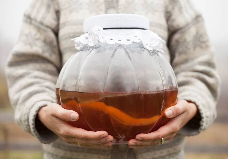 Lær å lage Kombucha med Gry Hammer