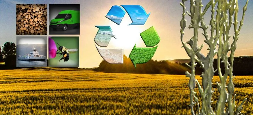 Naturviterforum: Vekst og verdiskaping på lag med naturen
