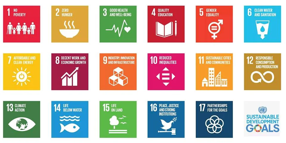 The Sustainable Development Goals (SDGs) &amp; Development Research