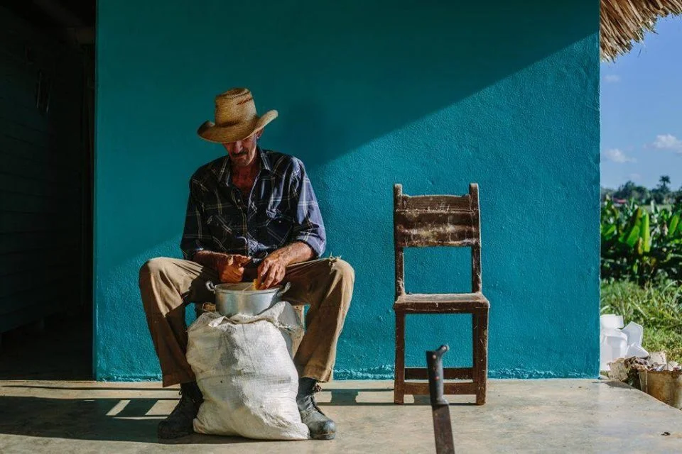 Film fra Sør: Kulinarisk kino med Cuban Food Stories på Vippa