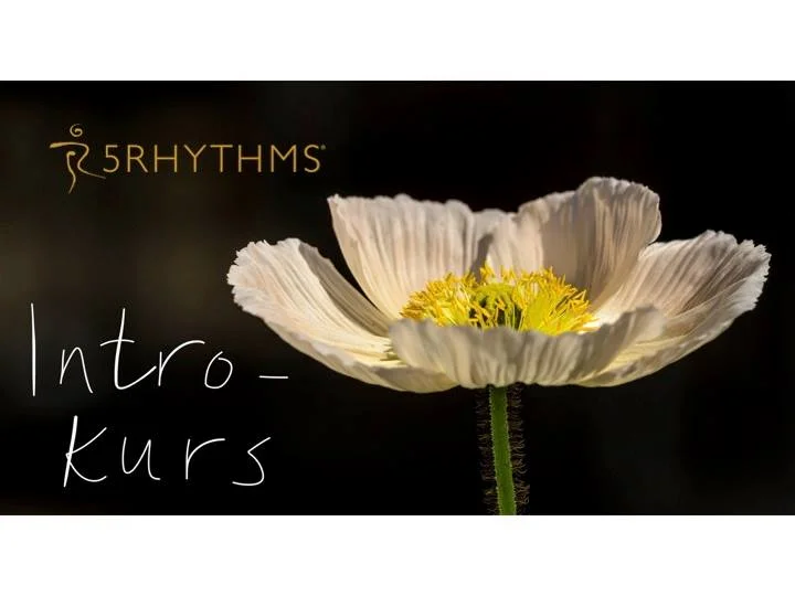 Intro-kurs i 5Rytmer - Sagene samfunnshus