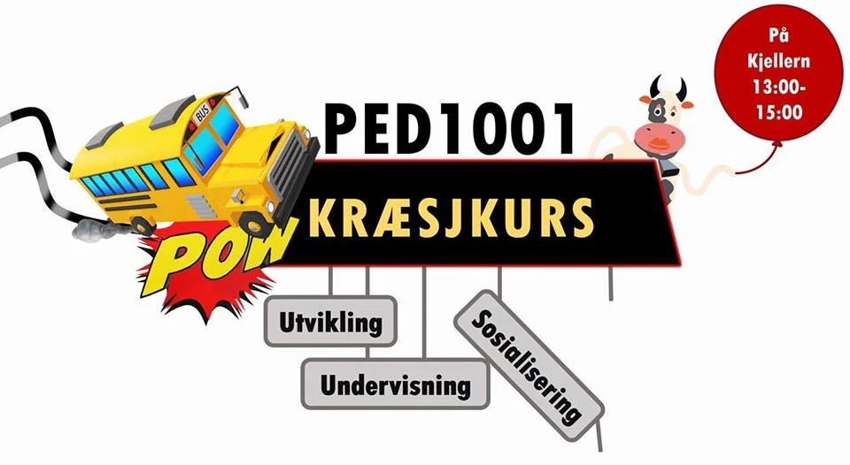 PED1001-Kræsjkurs