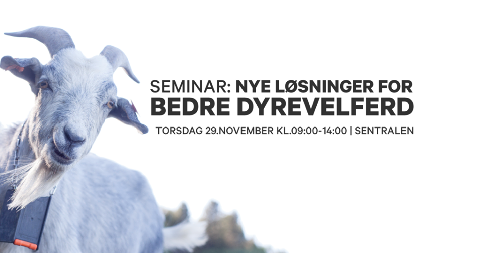 Nye løsninger for bedre dyrevelferd