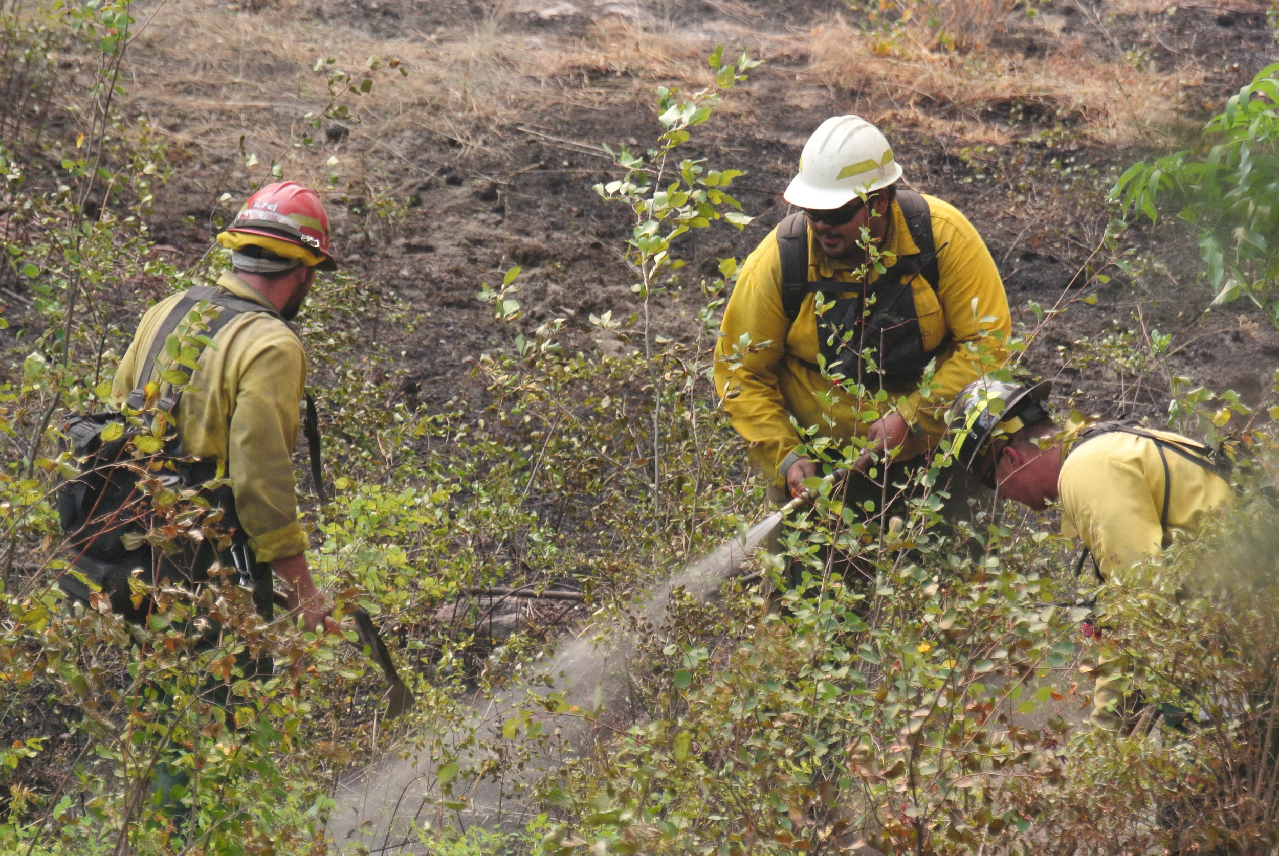  Fire Fighters secure a residential property partially burned by the Okanogan Complex fire on Salmon Creek Road, Sunday August 23, 2015. Due to the size and speed of the Okanogan Complex Fire, Firefighters often arrive after most fire damage is done,
