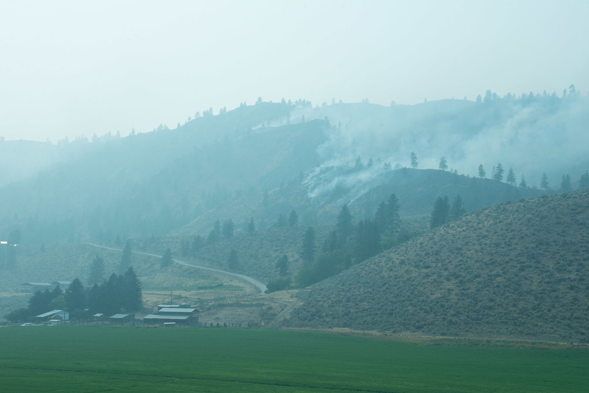  Spot Fires burn in the hills above residential structures on Salmon Creek Road, Okanogan County, Sunday August 23, 2015. 