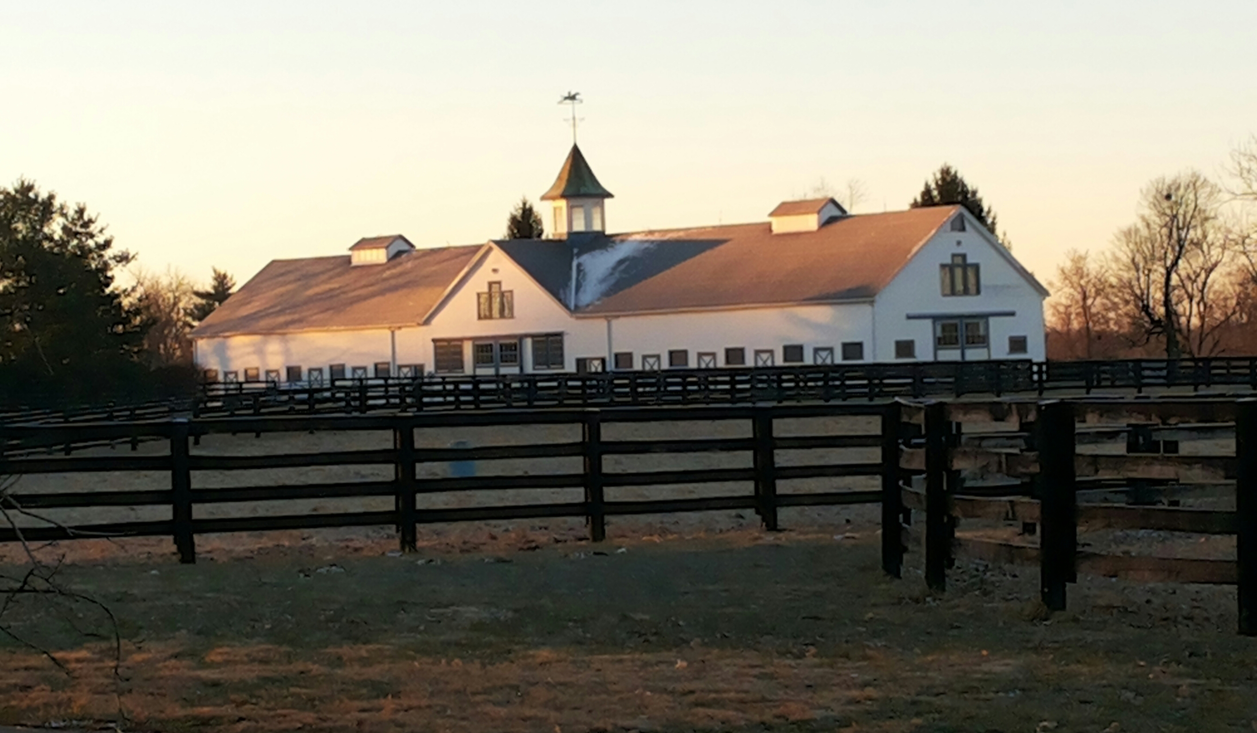 stud barn1.jpg