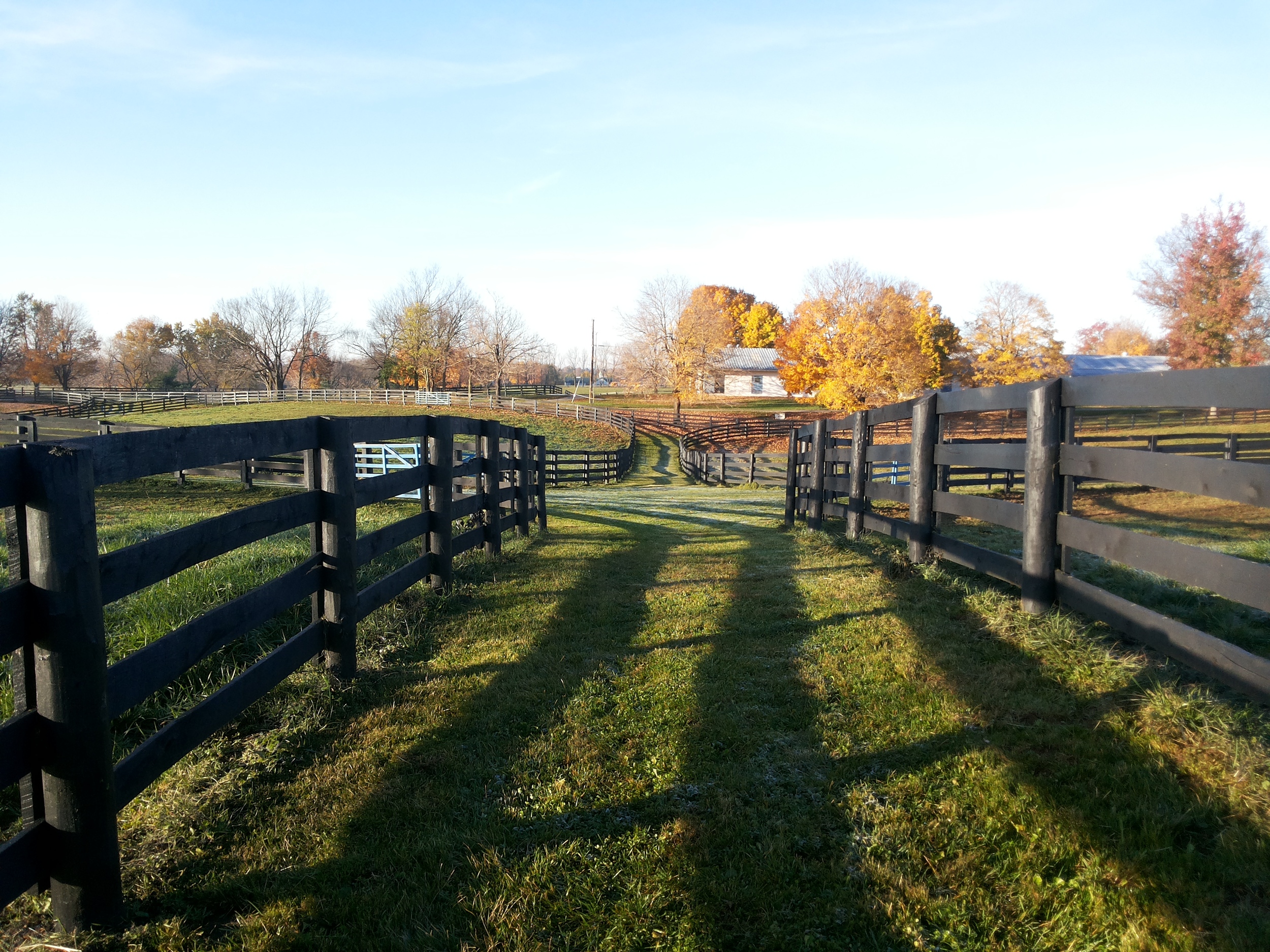 20141110_082147.jpg