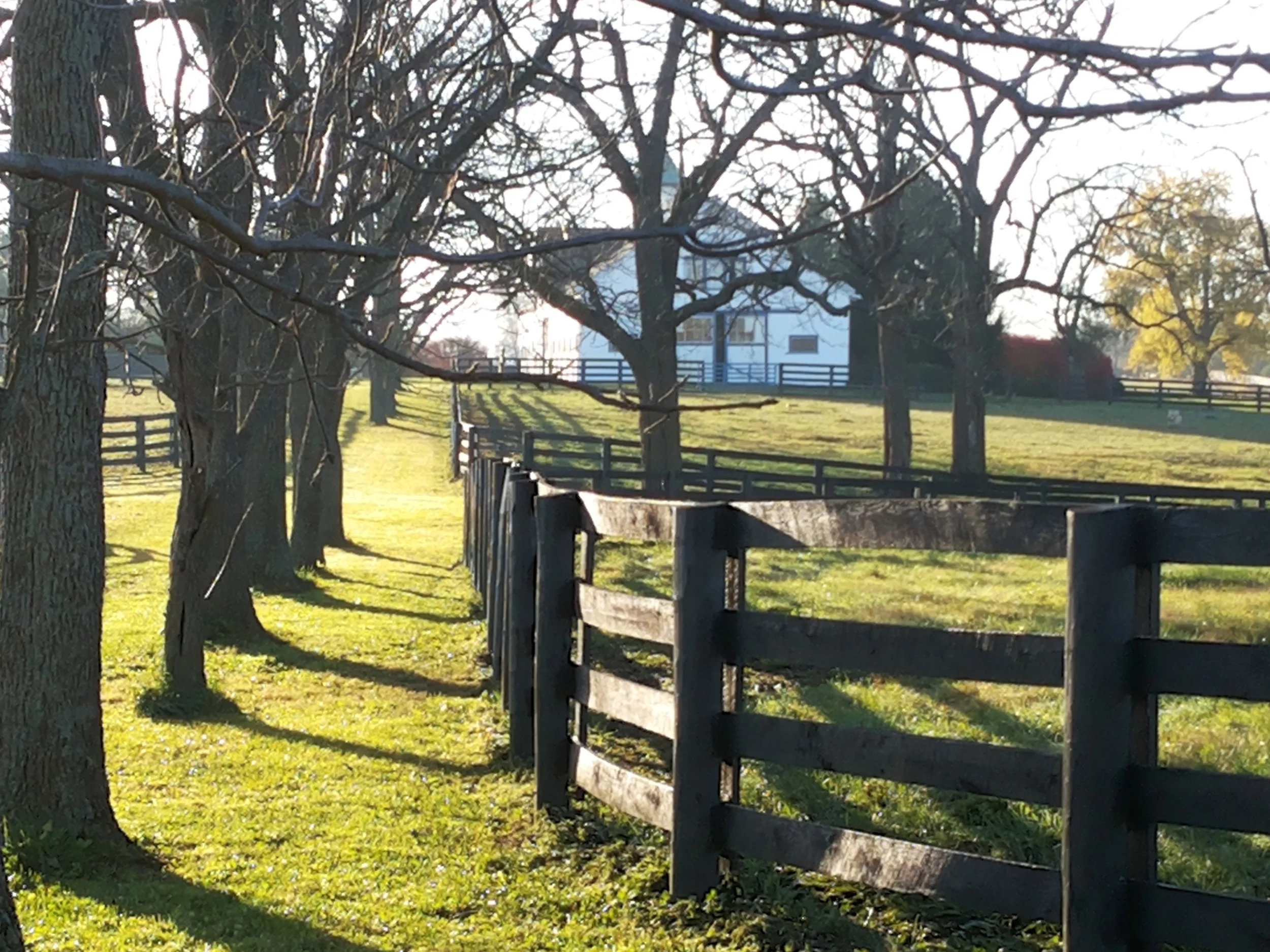 20141110_081953.jpg