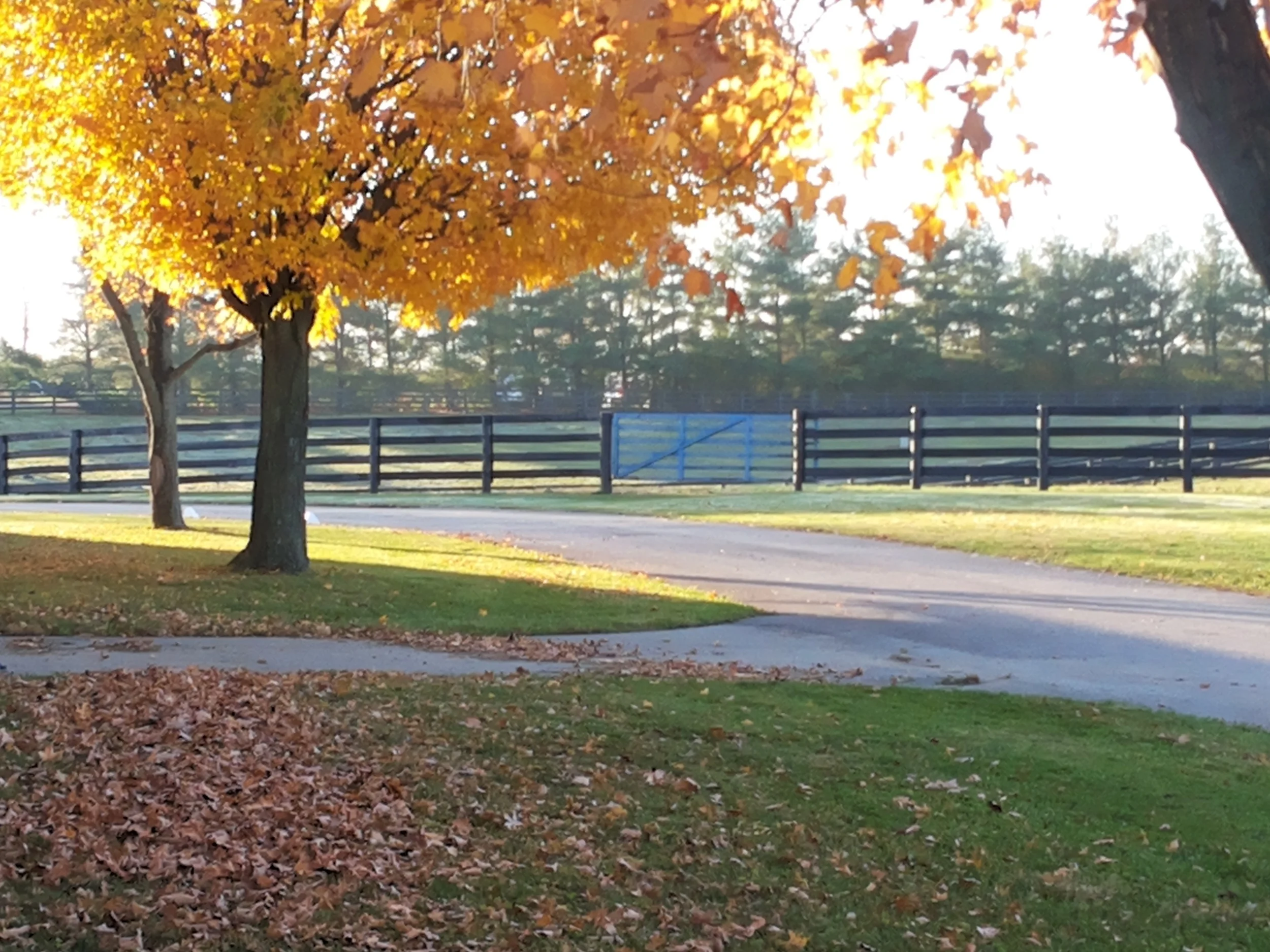 20141110_081248.jpg