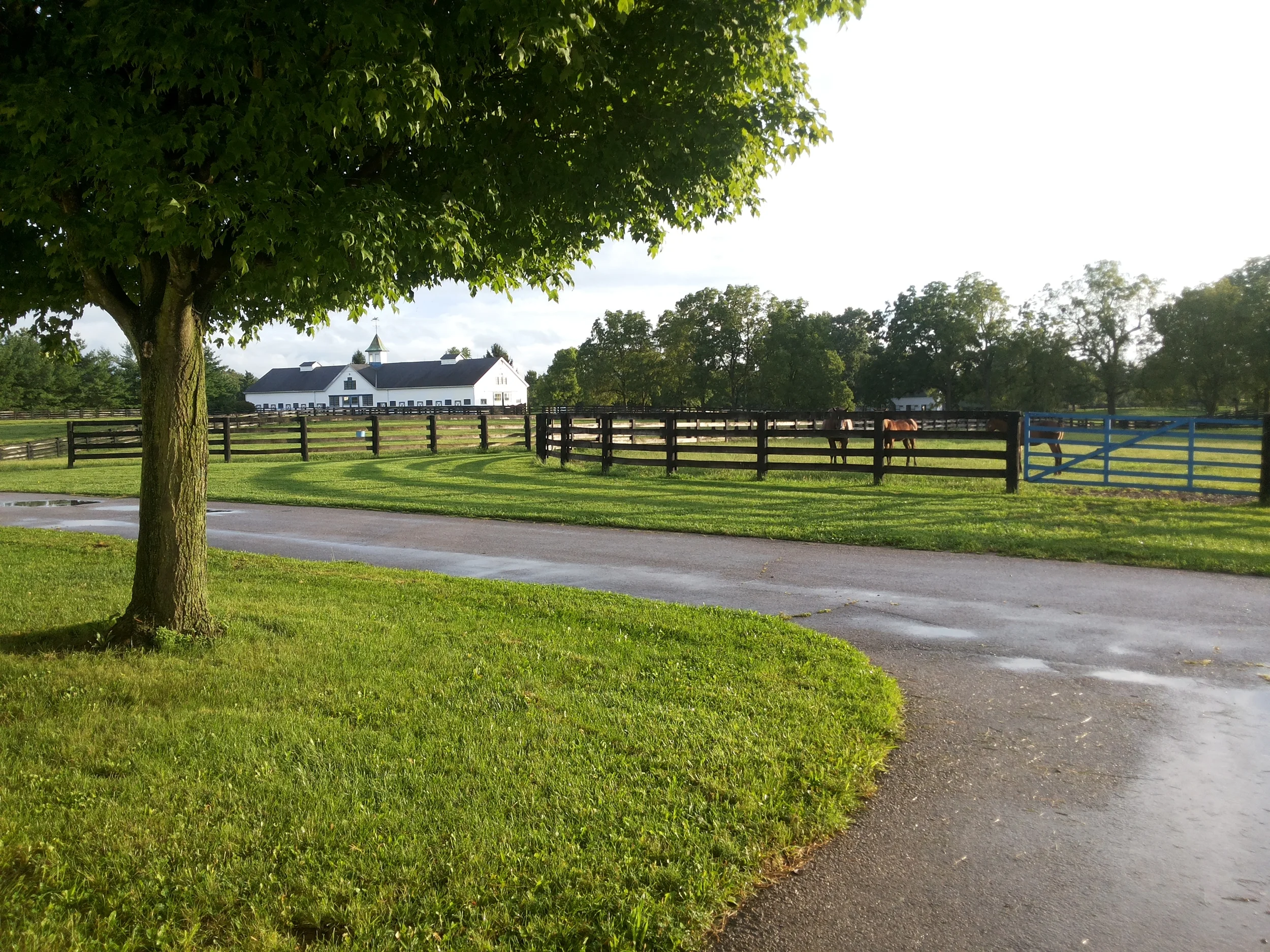 20140831_191426.jpg