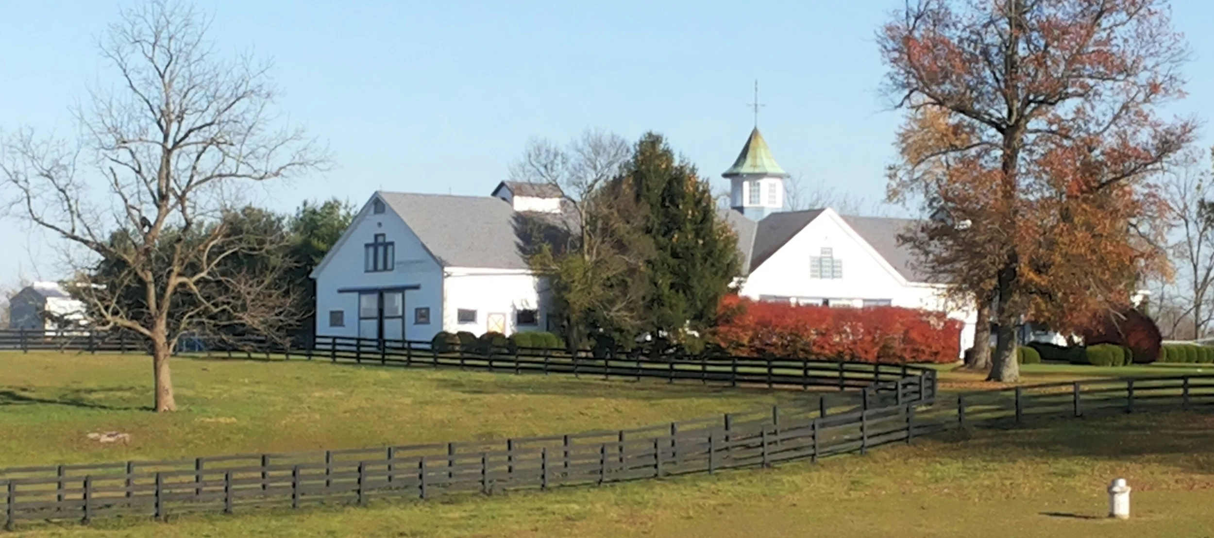 20141109_151051-1.jpg