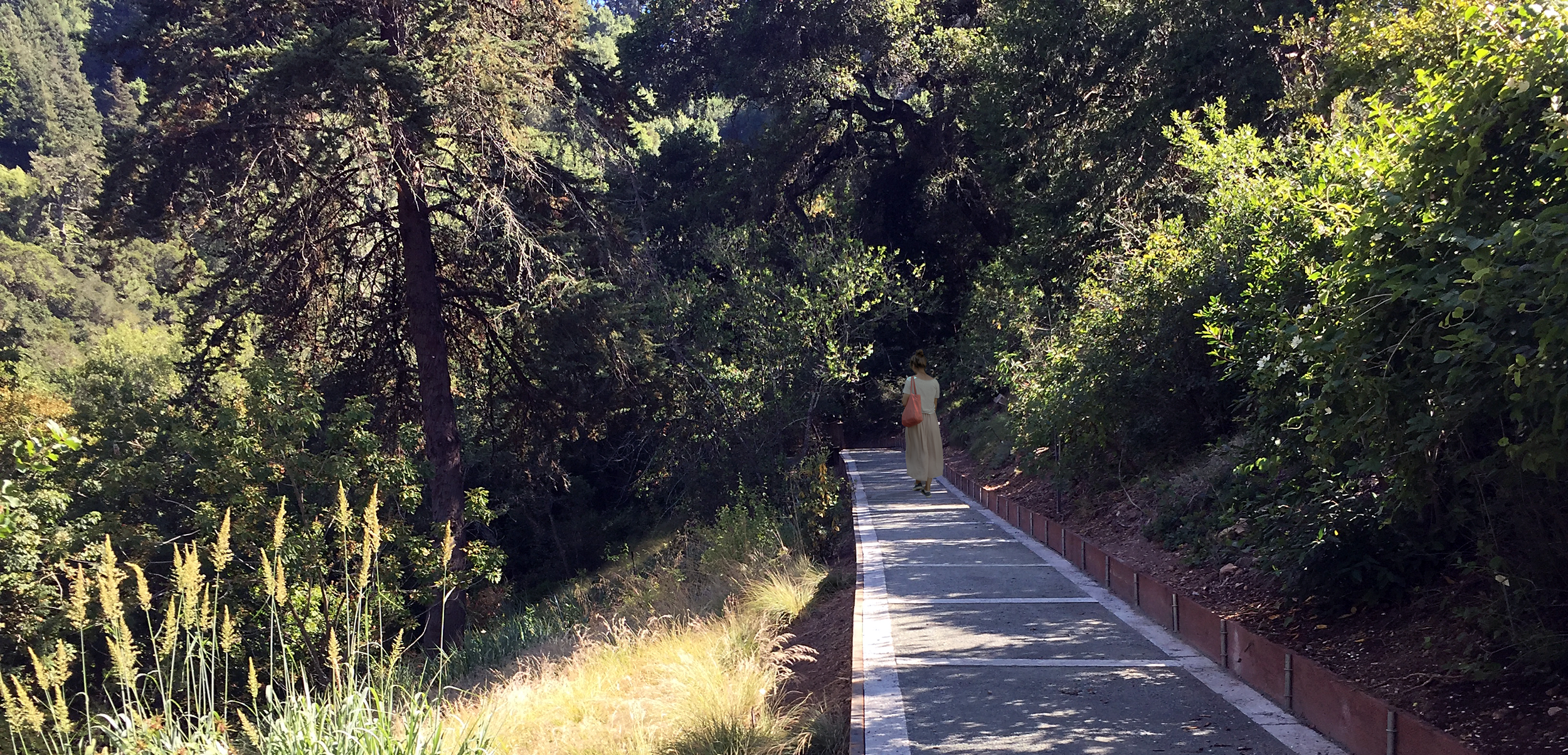 Sitewide Accessibility Improvements, University of California, Botanical Garden