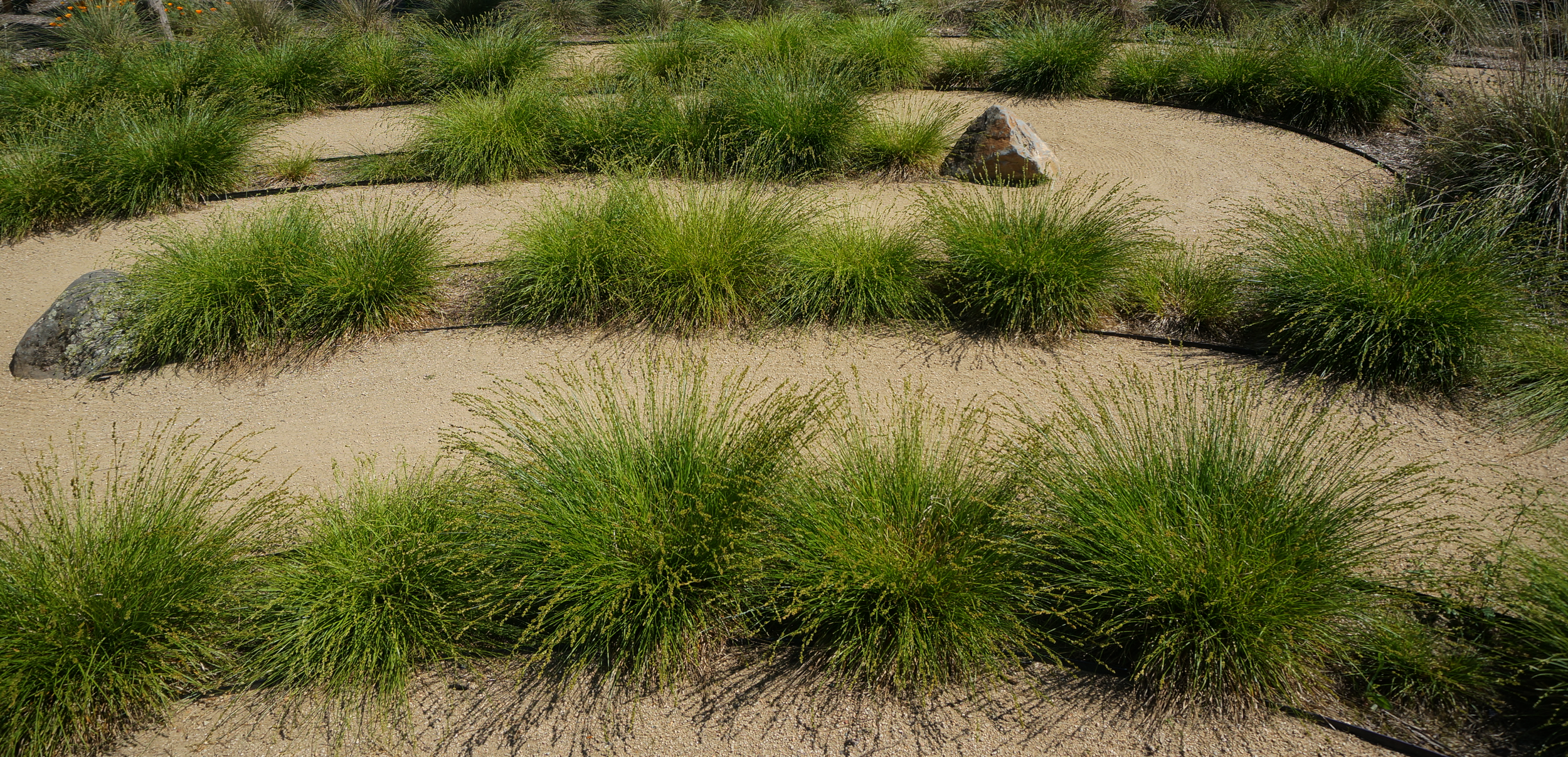 Rosicrucian Museum Labyrinth, Prodis Associates Architects