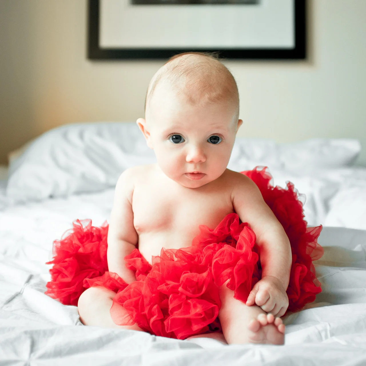 VALENTINE - 13 WEEKS