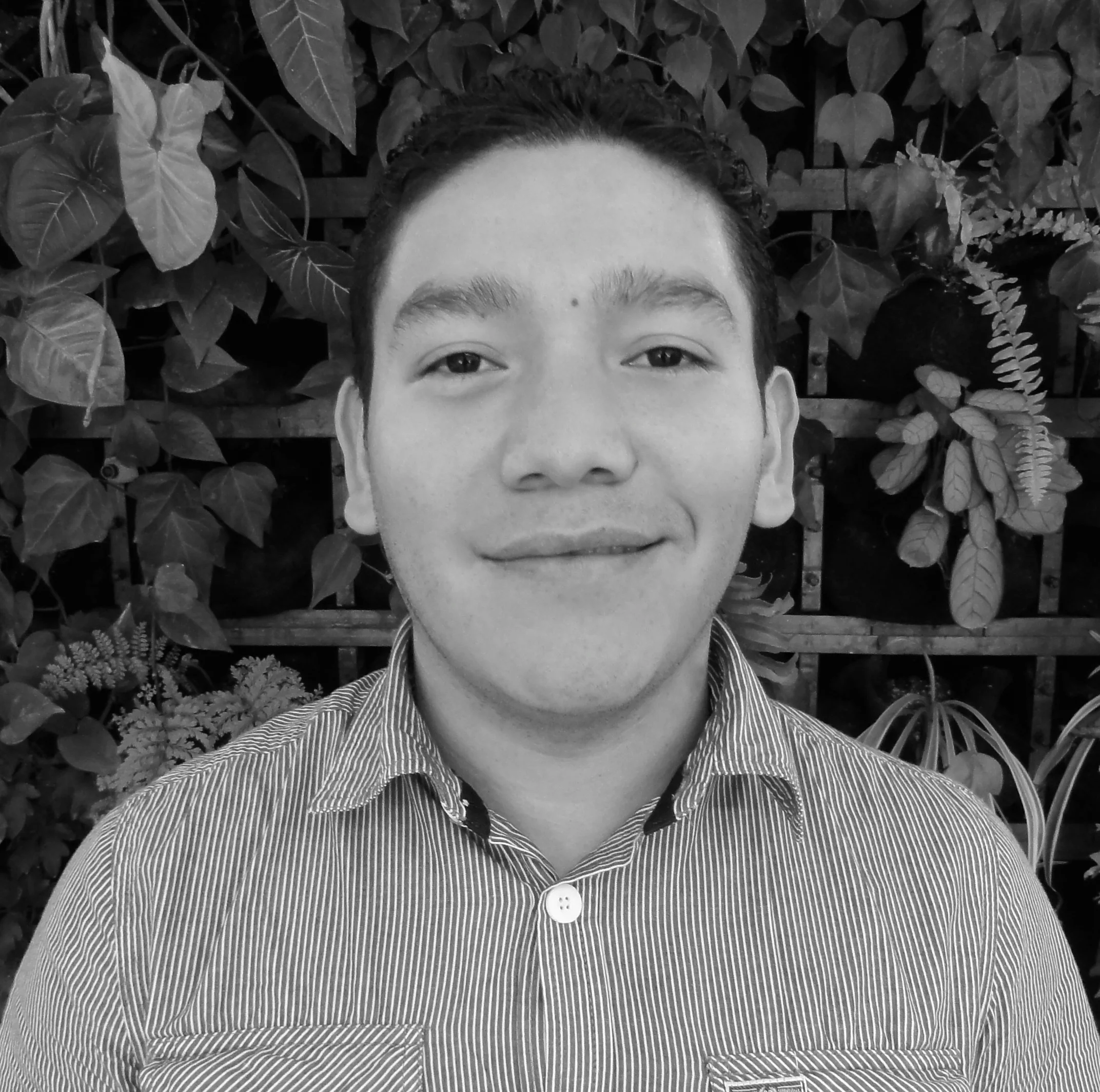 Elvin Lorenzana Arquitecto Director del área de Dibujo