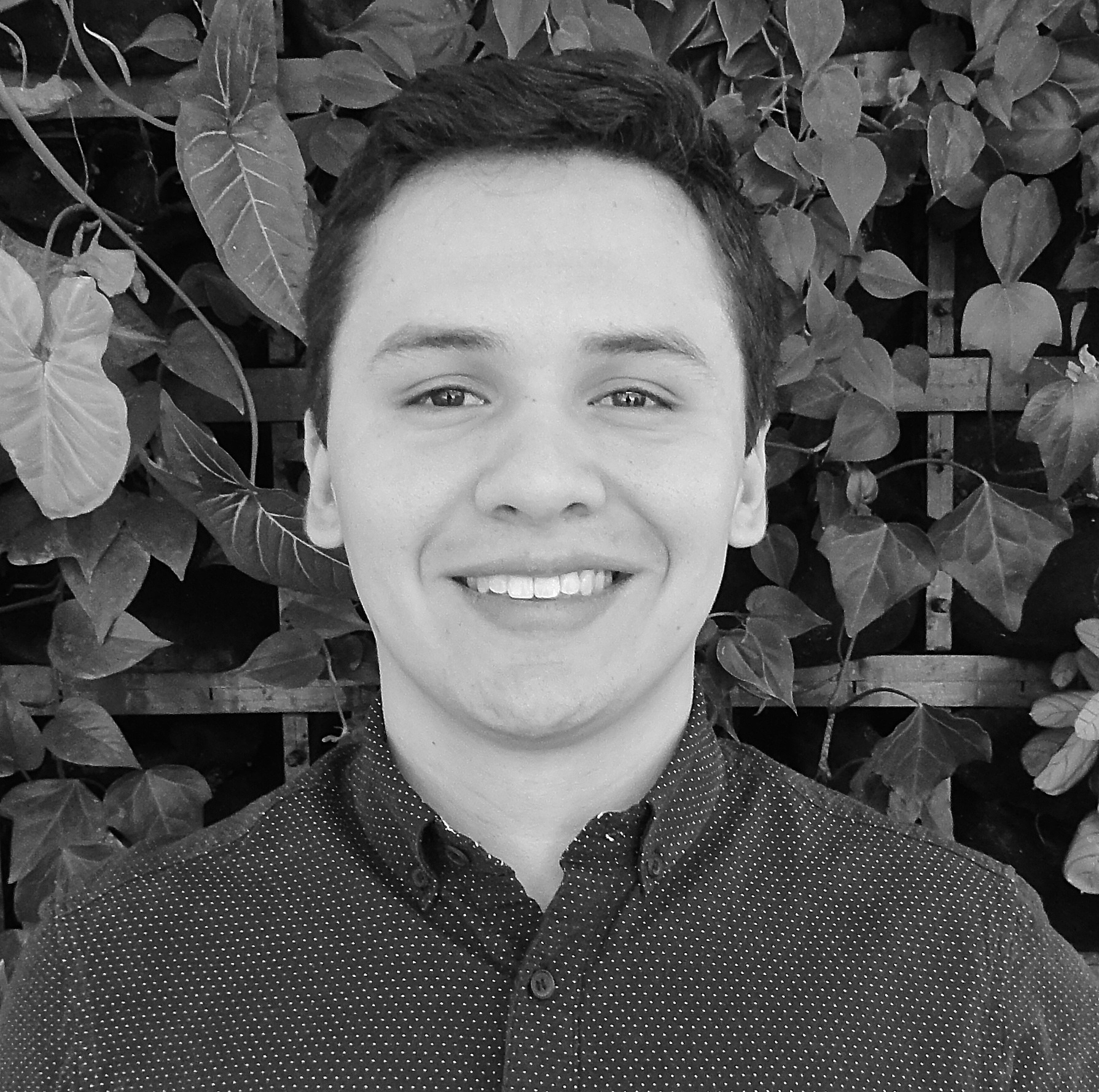 Sebastián Vaides Ingeniero Civil