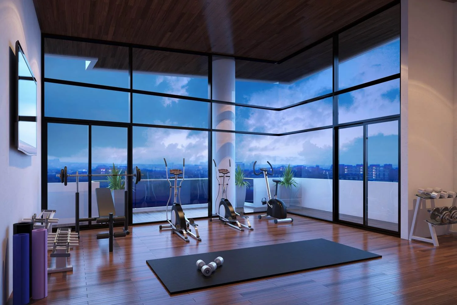 Visualización área de gimnasio. Ágora 1501.