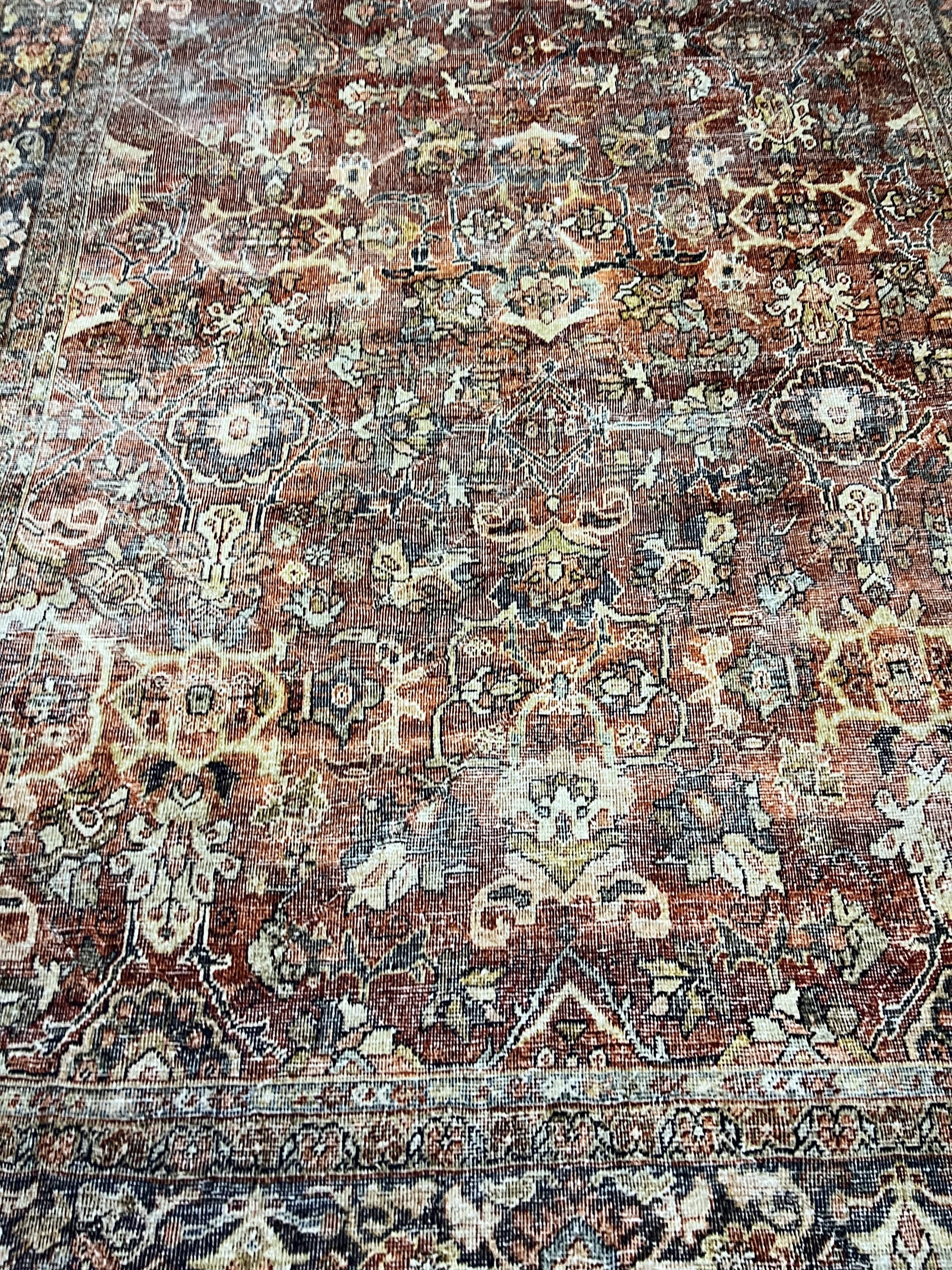 Draper Rug 2.jpg