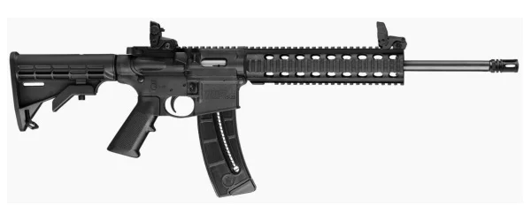 TALO M&P 15-22 with Magpul sights
