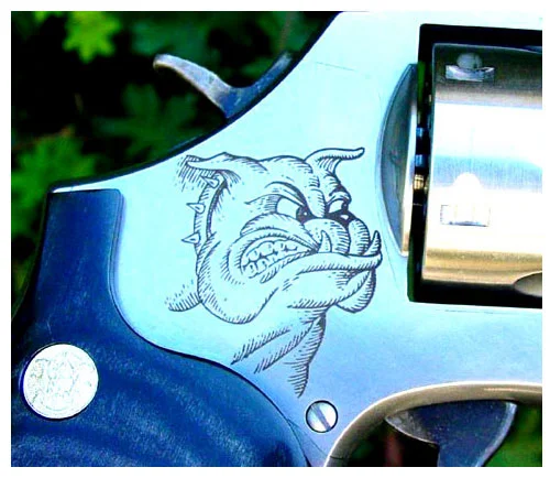 Smith & Wesson Bulldog .357