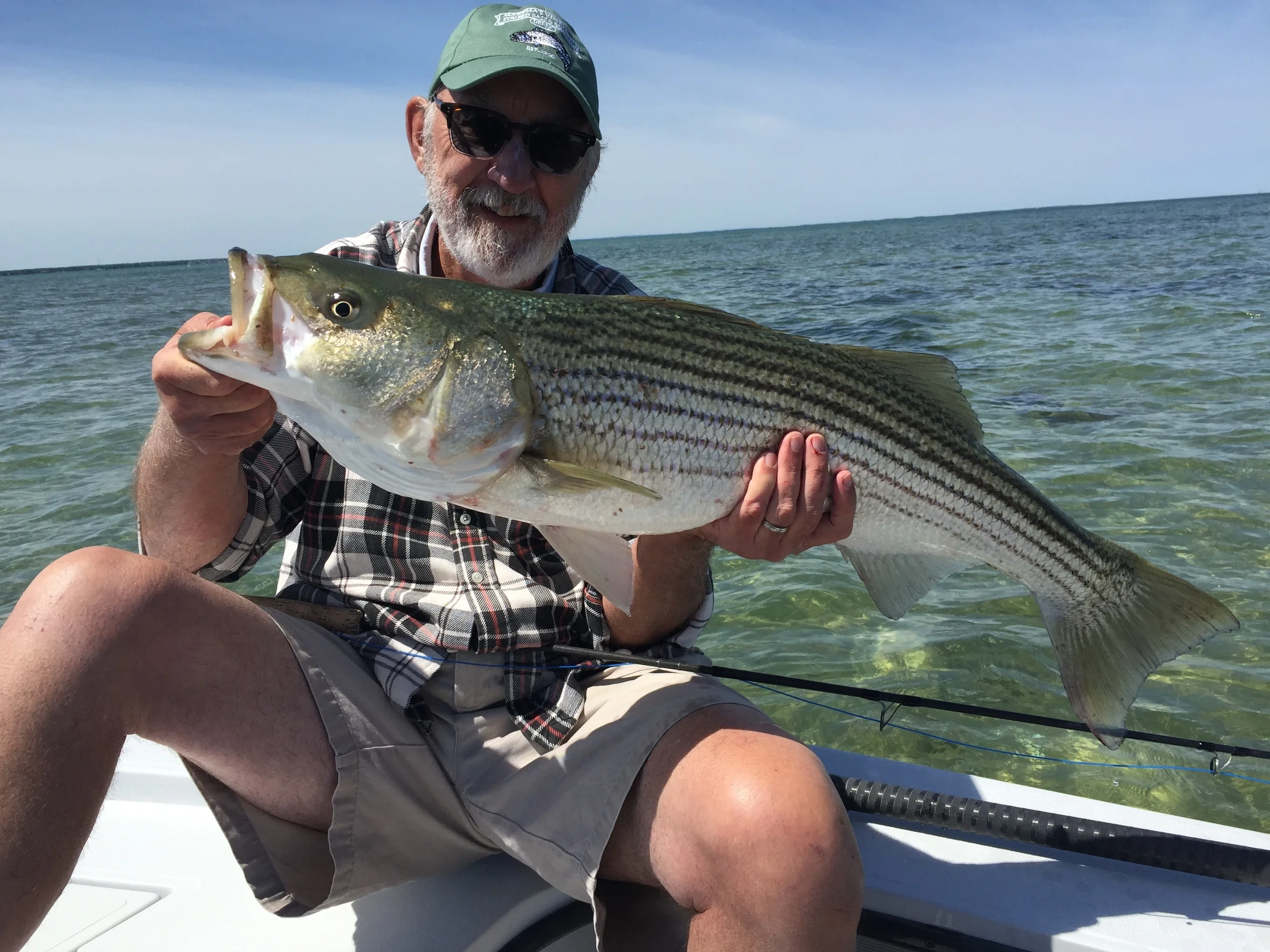 Fly rod bass