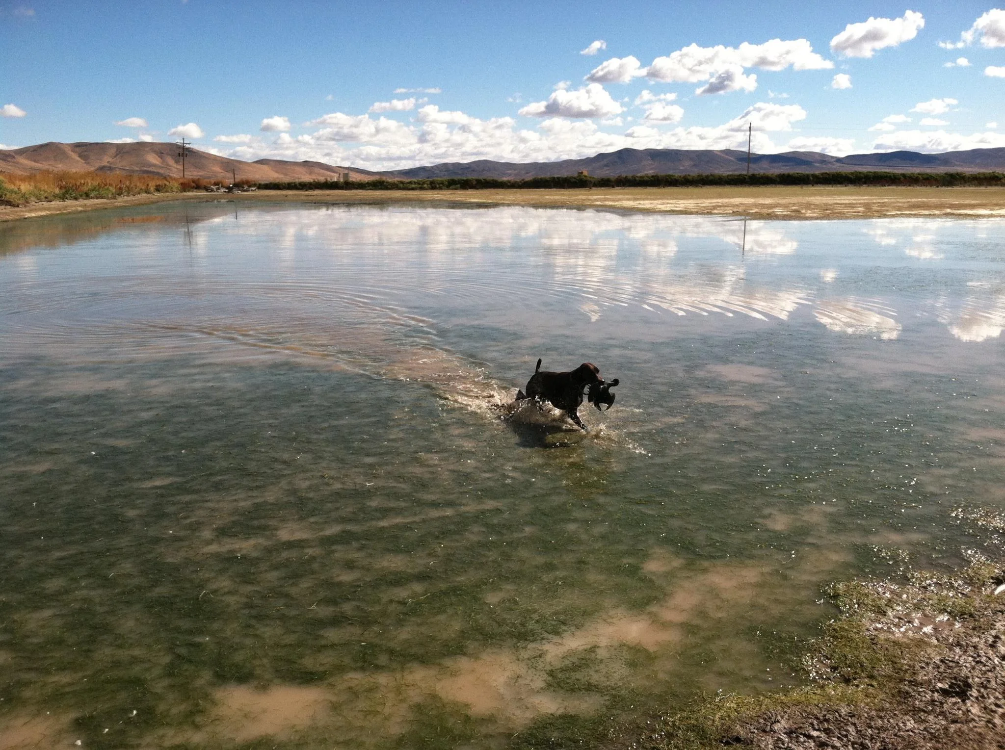 bullheadhuntingclub 008.JPG