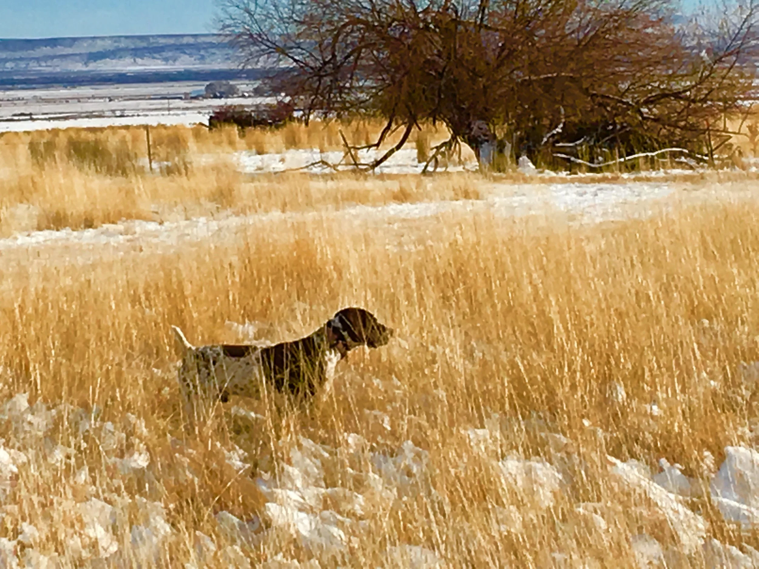 hunt club i phone pics 001.JPG