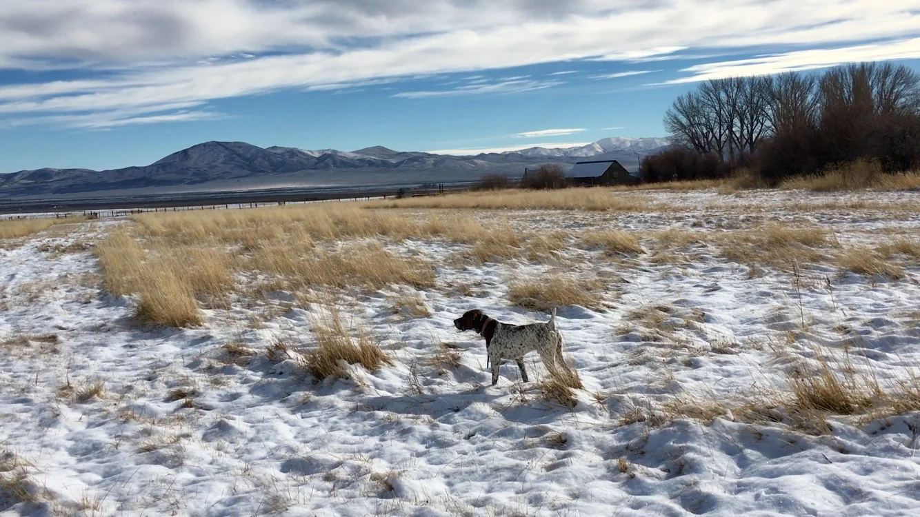 hunt club i phone pics 015.JPG